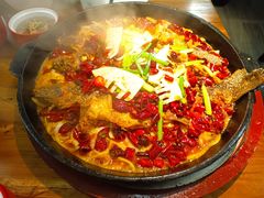 老板恋上鱼-老板恋上鱼(振华商厦店)