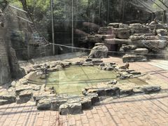 -北宫国家森林公园