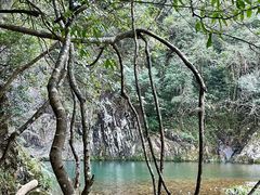 -龙湾潭国家森林公园