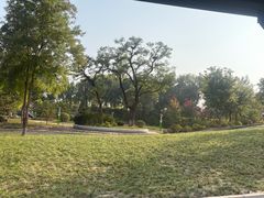 -永定河休闲森林公园