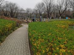 -洨河生态公园