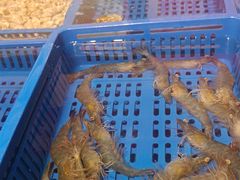 -叁宝烤肉• 西安烧烤 领跑品牌(中海城店)