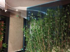 -新紫霞养生·影院足道·SPA(金山区店)