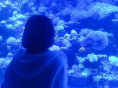 -太平洋海底世界