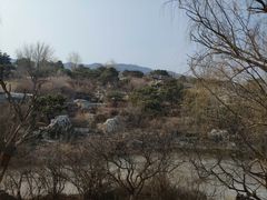 -北京西山国家森林公园