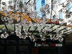 -玛格萝妮比萨屋(四平店)