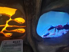 -佛山科学馆