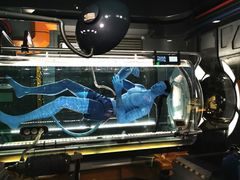 -奥兰多迪士尼动物王国乐园