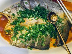 清蒸东海大黄鱼-彩虹之约•淮扬家宴(亚运村店)