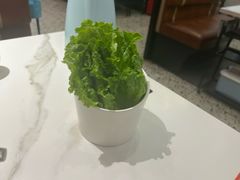-八合里潮汕鲜牛肉火锅(上海汇智广场店)