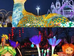 -淄博花灯齐彩城