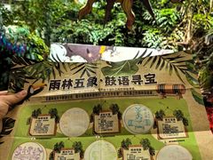 -呀路古热带植物园