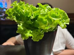 -九田家黑牛烤肉料理(太阳宫广场店)