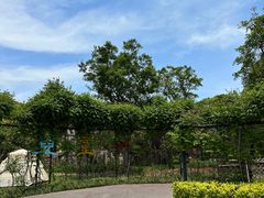 -嘉北郊野公园