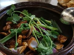 鸡煲-胡须佬鸡煲四季火锅(龙珠大道店)