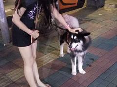 -川湘園(西华路店)