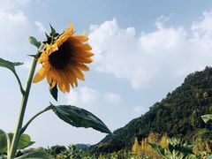 -贵阳市花溪国家城市湿地公园