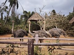 -海南热带野生动植物园