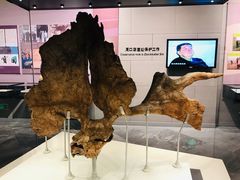 -北京周口店北京人遗址博物馆