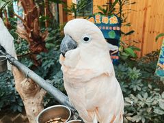 -南宫五洲植物乐园