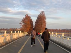 -东湖落雁景区