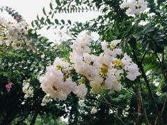 -杭州城北体育公园