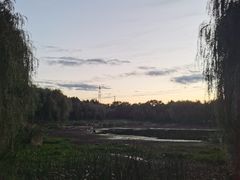 -东坝千亩湖公园