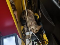 -H立方实景剧情密室(天河旗舰店)