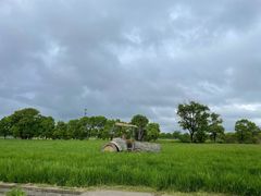 -嘉北郊野公园