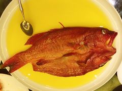 -甄御•海鲜新青岛菜(麦岛店)