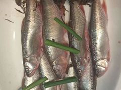 -美乐食街(小南店)