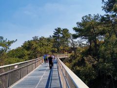 -狐尾山公园