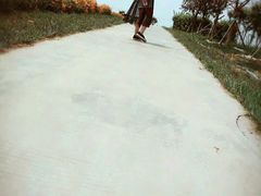 -紫颐香薰山谷景区