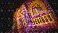 -IDOI婚礼策划·IDOIWEDDING