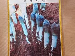 -菌之家·专业纯野生菌火锅·特色炒菌
