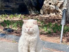 -北京鲁迅博物馆(北京新文化运动纪念馆鲁博馆区)
