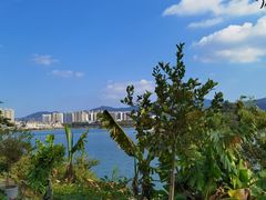 -立新湖公园