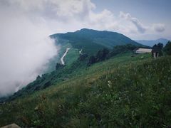 -白草畔自然风景区