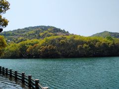 -白马涧龙池景区