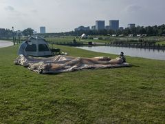 -春花秋色城市公园