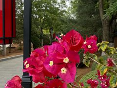 -东方华地城湿地温泉度假区