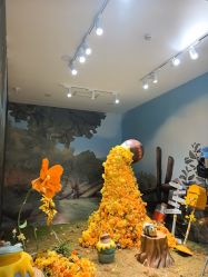 -爱儿美儿童摄影(奥森公园店)