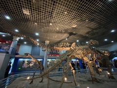 -国家自然博物馆