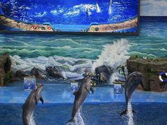 -多彩贵州城极地海洋世界