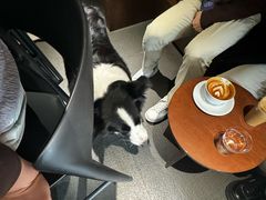 -Onirii Coffee(长乐路店)