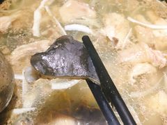 -探窝·竹笙椰子鸡(杨箕店)