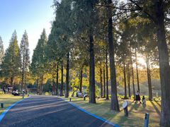 -东钱湖小普陀景区