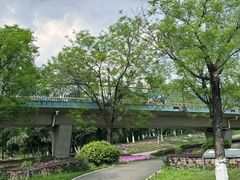 -白鹭湾湿地公园