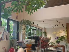 -花神·轻食简餐·咖啡馆·花卉绿植(荷兰花卉小镇店)