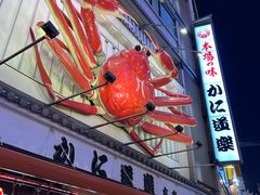 -蟹道乐(道顿堀本店)